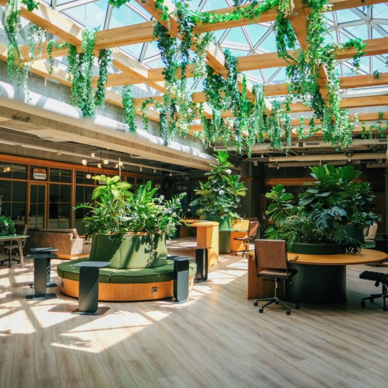 Eco-friendly office cleaning in Auckland with greenery and bright workspace