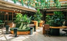 Eco-friendly office space with plants and natural light