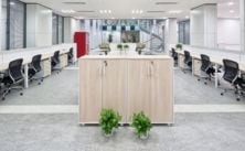 Modern office interior with clean desks and chairs in Auckland
