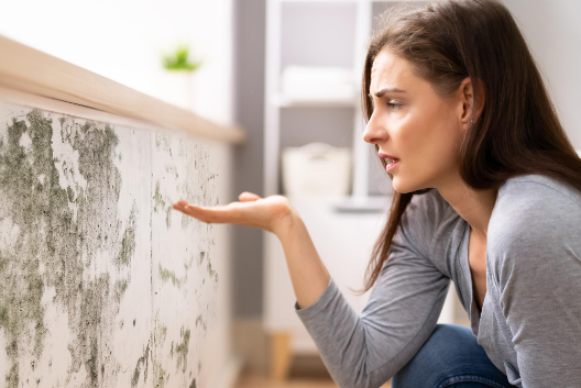Woman discovering mould growth in Auckland home.